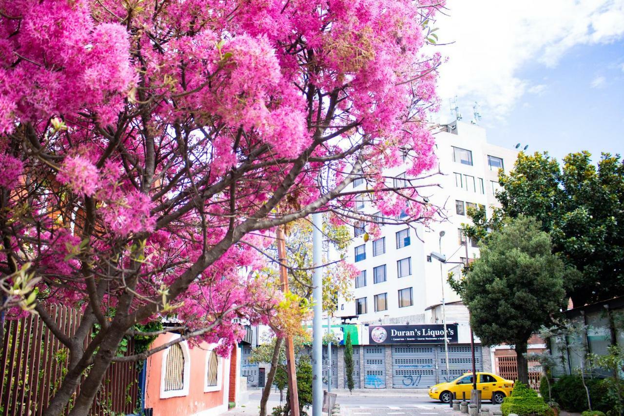 Hostal Loro Verde Quito Exterior photo
